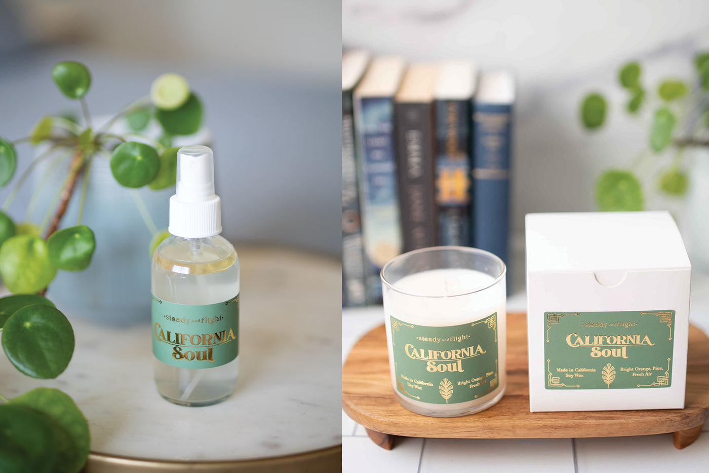Sunshine On Your Face bundle
