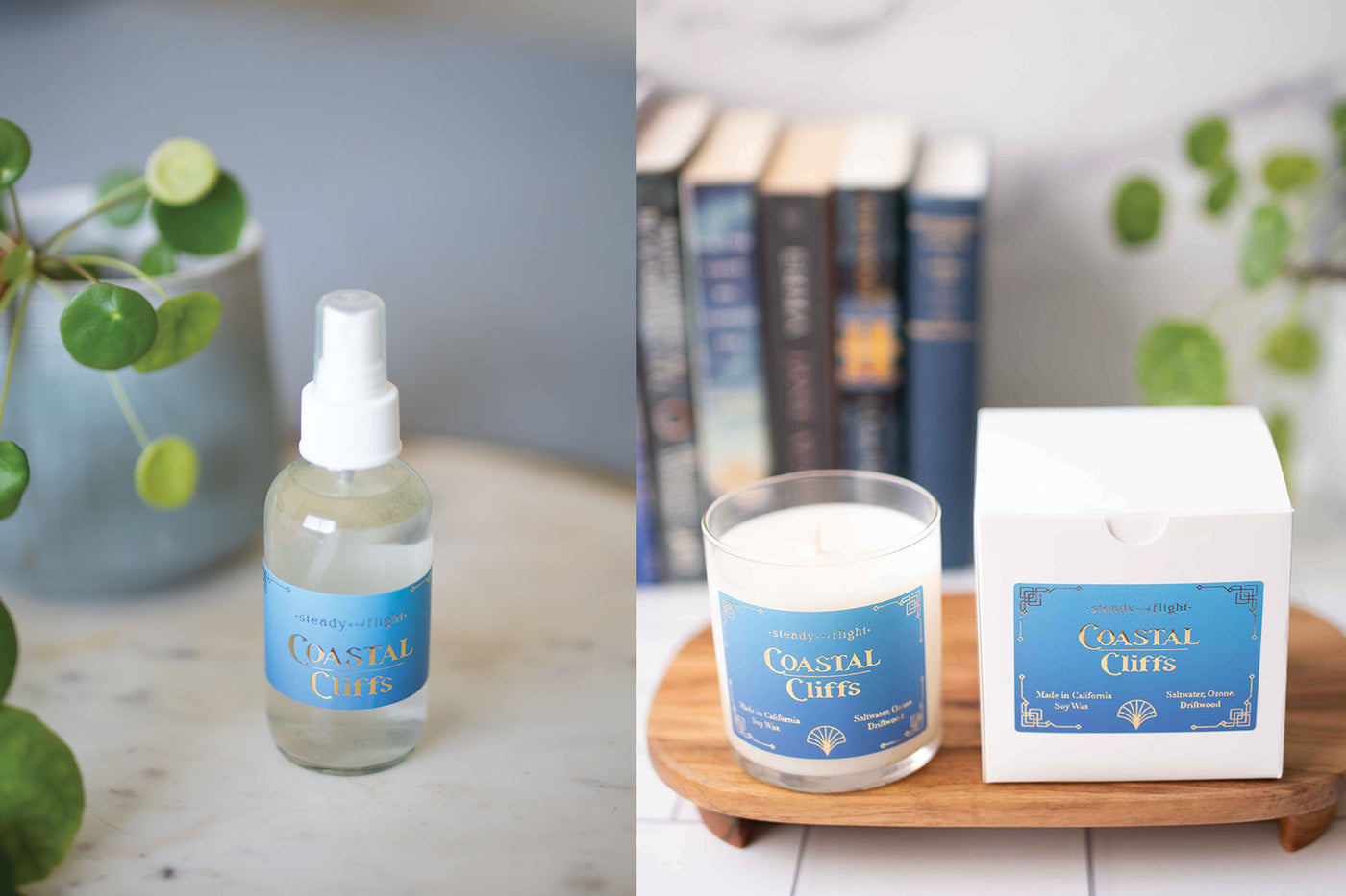 Salt Air Bundle