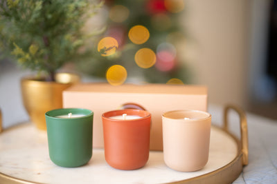 Cozy Favorites Minis Gift Set